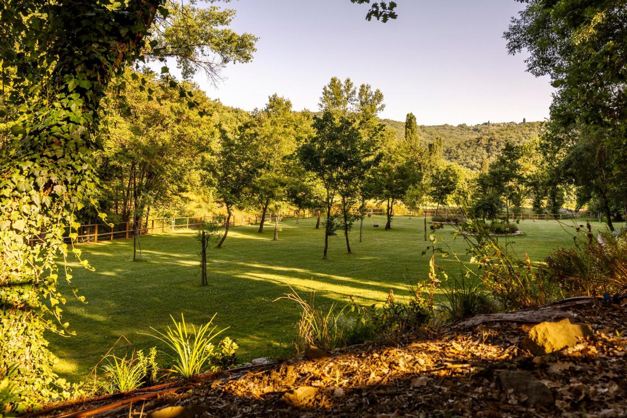Podere La Casina Country Chic Rigomagno 外观 照片
